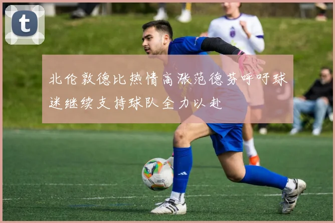 北伦敦德比热情高涨范德芬呼吁球迷继续支持球队全力以赴